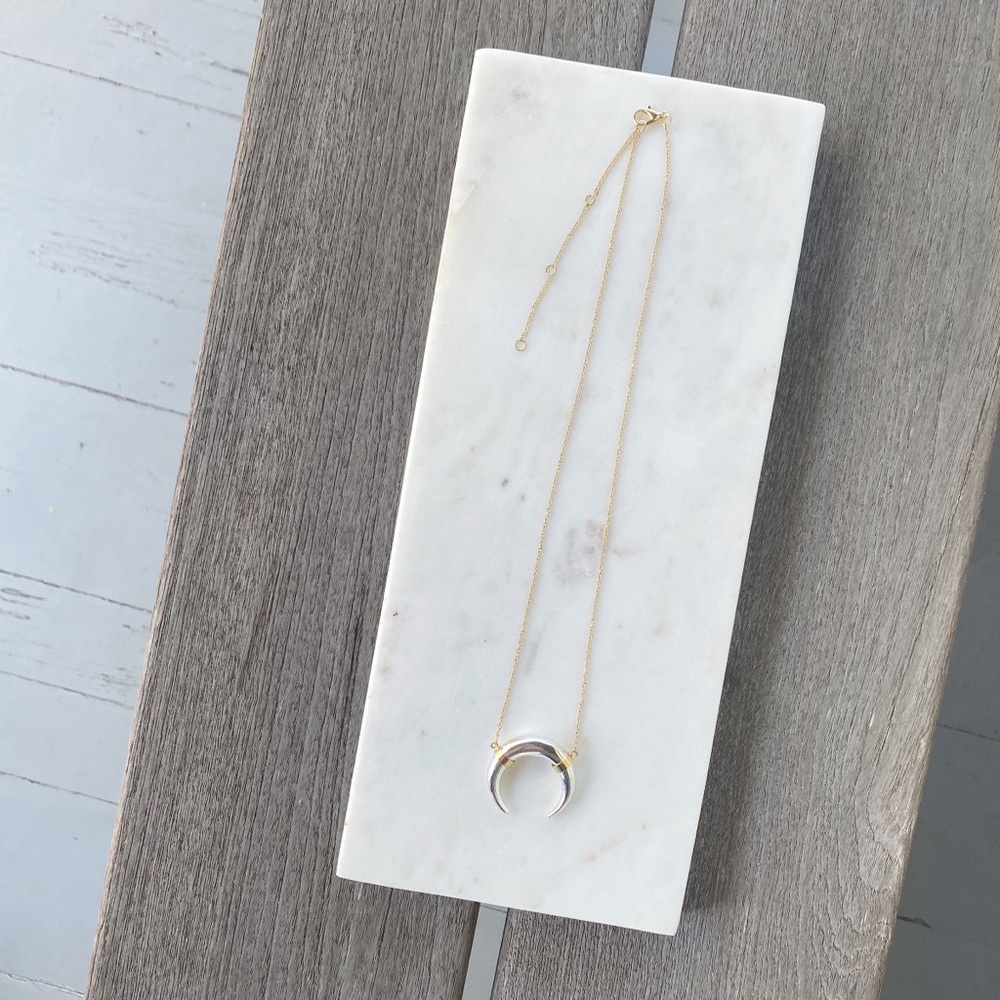 🆑 "Kinsey" Necklace || Silver & Gold Horn Pendant - Picture 4 of 14